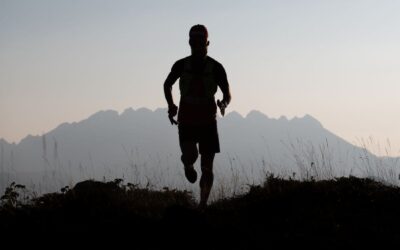 Strava mule: the ultimate way to fake your run (legally)